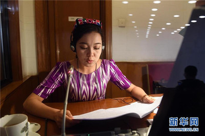 語言橋梁，共商國是——記為兩會服務的民族語文翻譯組